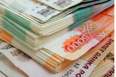 Начинающие предприниматели Петербурга получили займы на сумму около 76 млн рублей