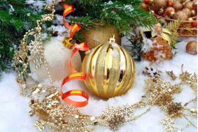 Дед Мороз и Снегурочка на «волшебных санях» навестили жителей Невского района
