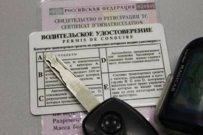 Число сдающих с первого раза экзамен на права людей снизилось в России