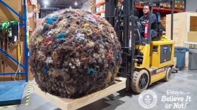 Американец скатал шар из человеческих волос весом 100 килограммов