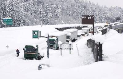 Впервые за четыре года на столицу Японии обрушился снегопад, более 50 человек пострадали