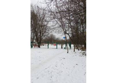 Лыжи, тренажеры и тихий отдых: как провести время в парке «Березовая роща»