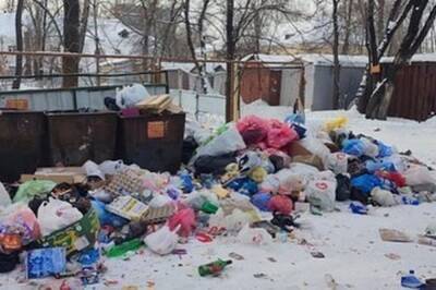 Неделю не вывозят мусор в одном из районов Хабаровска