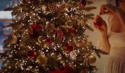 Рождество Христово - Сегодня Рождество Христово: великий церковный праздник 7 января – народные приметы и запреты - ukrainianwall.com - Украина