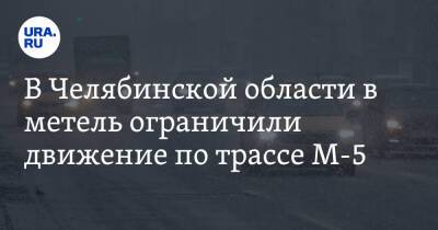 В Челябинской области в метель ограничили движение по трассе М-5