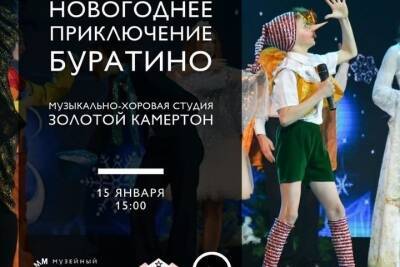Тюменский музей поставит мюзикл о приключениях Буратино