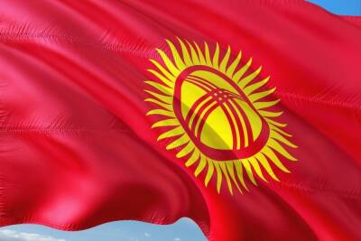 Парламент Киргизии одобрил отправку военных в Казахстан