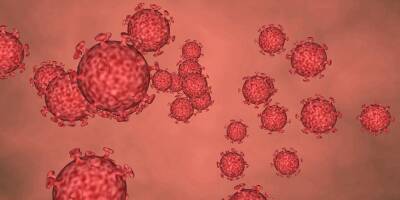 Ученые: «омикрон» – самый заразный вирус в истории человечества