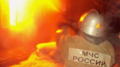 Пенсионер погиб в охваченном огнём доме в Воронежской области
