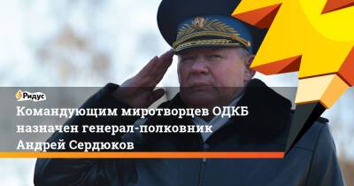 Командующим миротворцев ОДКБ назначен генерал-полковник Андрей Сердюков