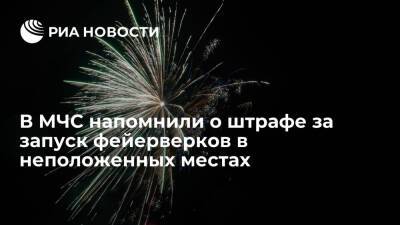 Запуск фейерверков в неположенных местах грозит штрафом до пяти тысяч рублей