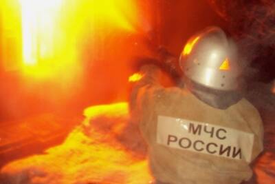 В Павловском районе под Воронежем при пожаре погиб мужчина