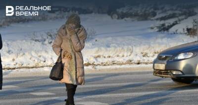 Синоптики предупредили татарстанцев о метели и сильном ветре 8 января