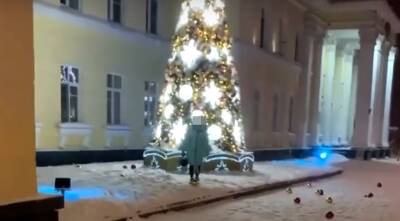 В Мурманске девушка разгромила новогоднюю ель у здания областного правительства