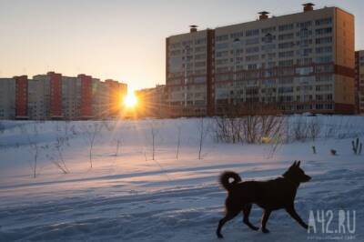 Январские морозы отступают: в Кузбассе потеплеет до +3