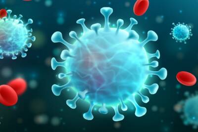 Почему появляются новые штаммы коронавируса: в ВОЗ назвали причину