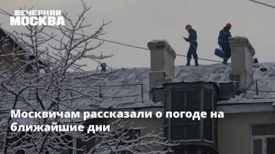 Москвичам рассказали о погоде на ближайшие дни