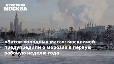 «Заток холодных масс»: москвичей предупредили о морозах в первую рабочую неделю года