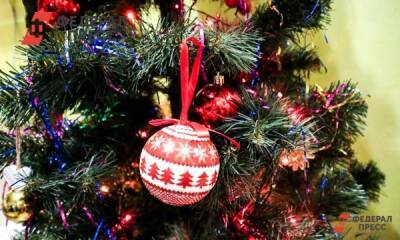 Жители Пермского края могут сдать новогодние елки на переработку - fedpress.ru - Пермь - Пермский край - Краснокамск