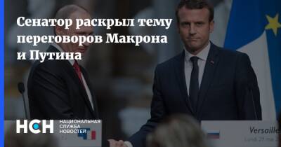 Сенатор раскрыл тему переговоров Макрона и Путина
