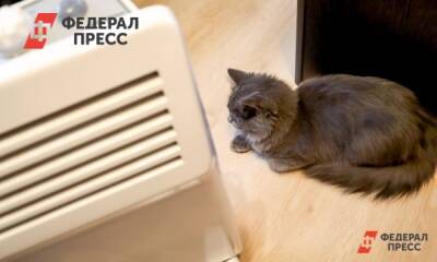 Башкирский город целый день сидит без тепла: «Процесс небыстрый»