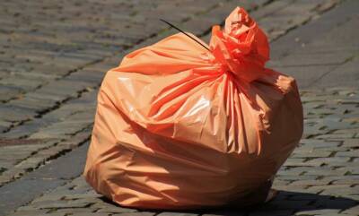 В Петербурге с 1 января возбудили 55 дел из-за неубранного мусора