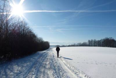 8 января в Ленобласти сохранится холодная погода