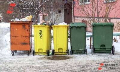 С начала года в Петербурге возбудили 55 дел из-за неубранного мусора и снега