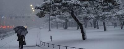 Более 1000 ДТП произошли в Токио из-за снегопада