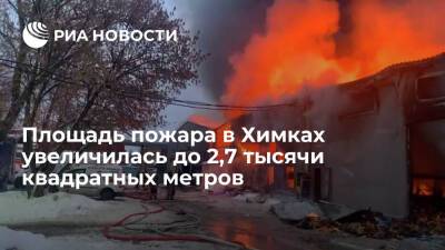 Площадь пожара на складе в Химках увеличилась до 2,7 тысячи квадратных метров - ria.ru - Москва - Россия