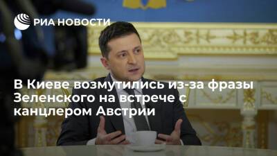 Киевский политик Гольдарб назвал фразу Зеленского на встрече с канцлером Австрии свинством