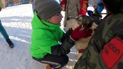 Хаски-терапия. Дед Мороз и Снегурочка прибыли на собачьих упряжках к воронежским детям