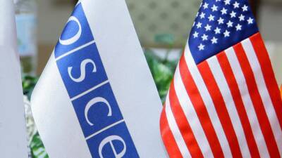 Заступник держсекретаря США обговорила Україну з генсеком ОБСЄ