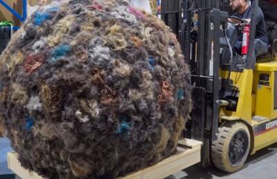 Американец скатал шар из человеческих волос весом 100 кг