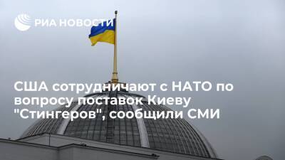 NBC News: США сотрудничают с союзниками по НАТО в вопросах поставок Киеву ПТРК Stinger