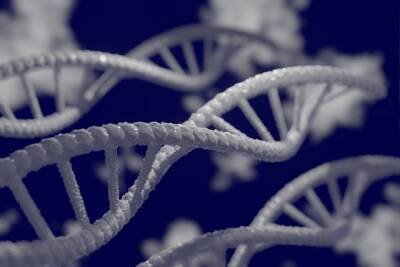 Исследование: странные структуры в ДНК могут способствовать развитию рака и мира
