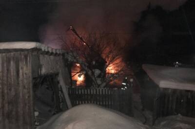 В Нижегородской области при пожаре в частном доме погибли два человека
