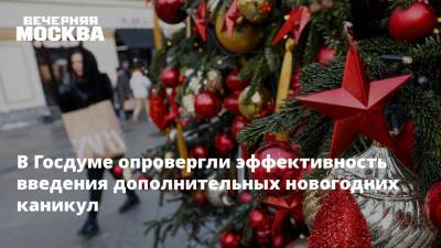 В Госдуме опровергли эффективность введения дополнительных новогодних каникул