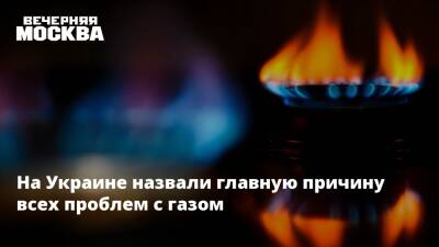 На Украине назвали главную причину всех проблем с газом