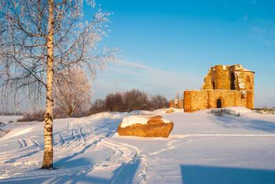 Археологии установили дату основания Великого Новгорода