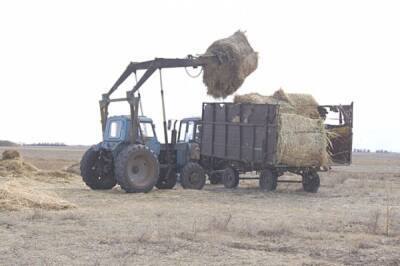 В Хабаровском крае фермер отравил землю агрохимикатами