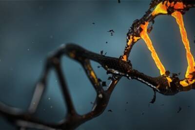 ДНК, содержащийся в воздухе зоопарка, помогает определить его обитателей