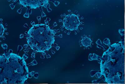 Более 1300 петербуржцев заразились коронавирусом за сутки
