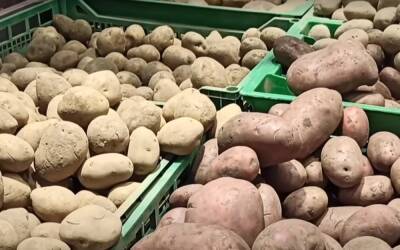 Украинская закончилась? Стало известно из каких стран в Украину завозят картофель