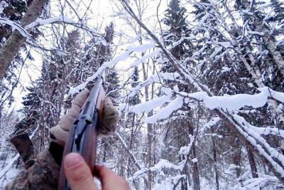 Охотникам Тверской области напомнили об ответственности за нарушение закона