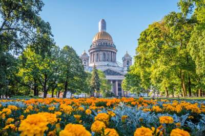 Какие цветы украсят петербургские клумбы летом 2022 года