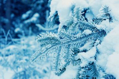 Тридцатиградусные морозы придут в Ленобласть 9 января