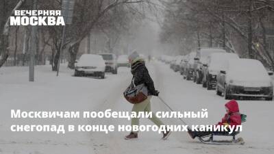 Москвичам пообещали сильный снегопад в конце новогодних каникул