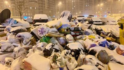 Петербург на новогодних праздниках погряз в горах мусора