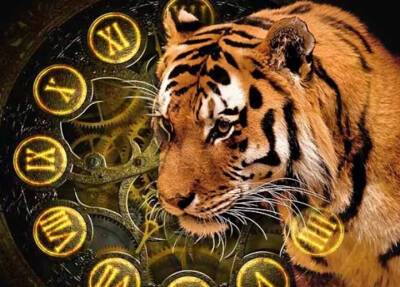 Представителей каких знаков Зодиака ждут тигриные страсти в 2022 году